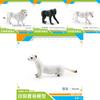 Lifelike African Lion Ferret And More Animal Figurines For Kids And Collectors