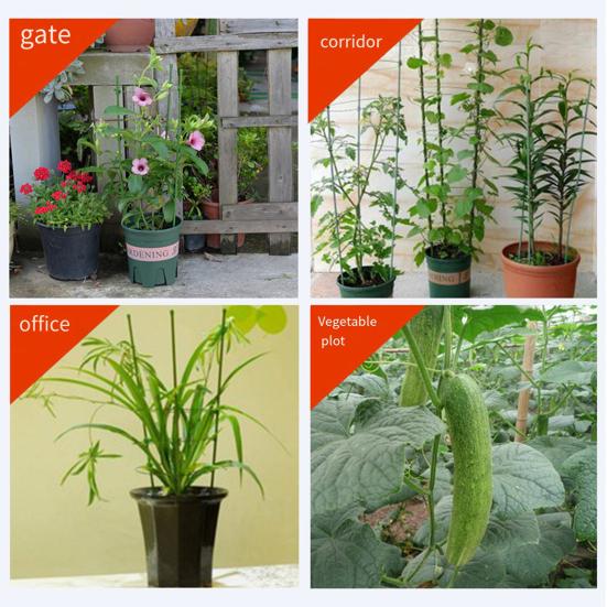 Plant Support Stand with Adjustable Rings Stable Construction Non-Fading Simple Installation Climbing Plants