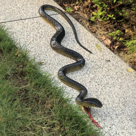 Yousheng Fake Snake Toy, Realistic Rubber Snake with Tongue Out, 17.7-39.4 Inch Lifelike Garden Decor, Bird Deterrent Stress Relief Prank Gift