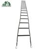 Shunhua Wolf 7M Training Ladder