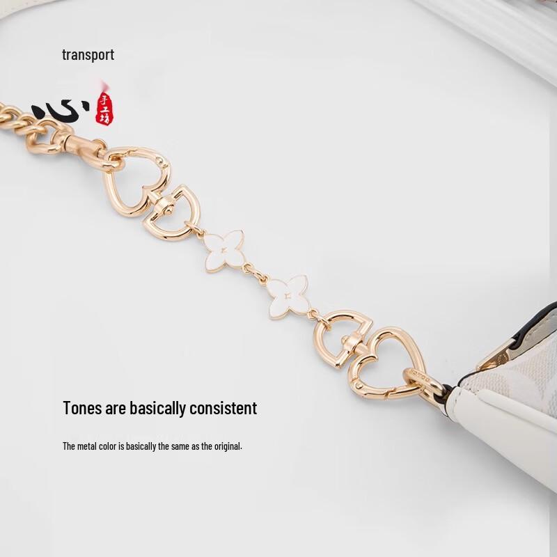 Coach Bag Extension Chain and Strap