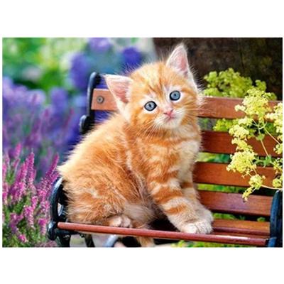 Pilnas 5D „pasidaryk pats“ deimantinis piešimas „Animal Cat“ deimantinis siuvinėjimas kryželiu namų dekoras, rankų darbo dovana
