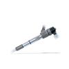 0445110291 New Injector Assembly 0 445 110 291 (1112010-55D) Is Used For  Foton Oling Dachai 498 Diesel Vehicle