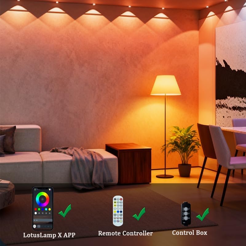 RGB Permanent Outdoor Lights for House (24V, 33Ft (20 LED))