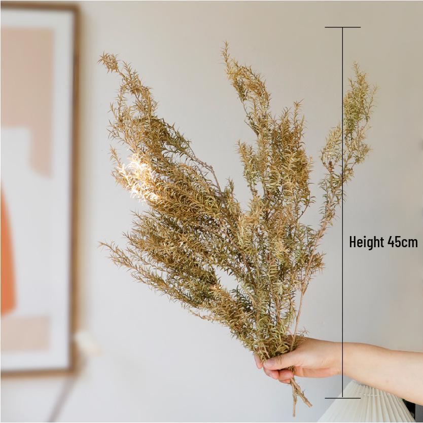 High-End Wabi-Sabi Dried Flower Decor: Natural Reeds & Wheat for Living Room or Homestay.