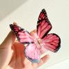 Super fairy transparent butterfly hairpin fashionable and simple back head grab clip niche personality high-end hair accessories