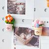 6/12Pcs Cartoon Potted Plants Refrigerator Magnet 3D Resin Succulents Fridge Magnet Memo Notes Photo Holder Home Kitchen Office Decoration
