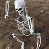 Scheletro Umano Completo per Halloween, Ossa Craniche Realistiche per Casa Infestata, Decorazioni Spaventose per Feste