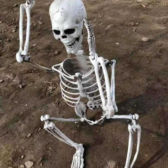 Scheletro Umano Completo per Halloween, Ossa Craniche Realistiche per Casa Infestata, Decorazioni Spaventose per Feste