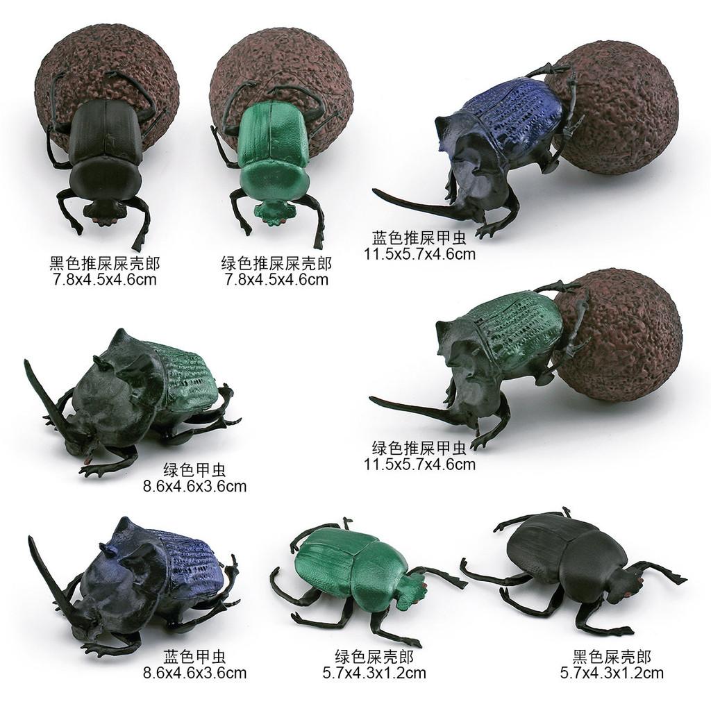 Vibrant Pvc Dung Beetle And Beetle Models Set Of 8 Realistic Insect Figurines For Home Decor