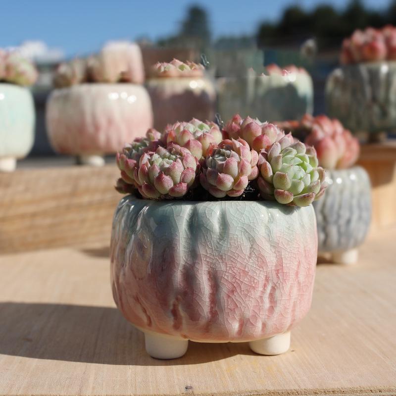 NEW Ceramic Flower Pot Creative Design Ice Cracked Glaze Succulent Pot Planter Small Flowerpot Home Hotel Ornament Decoration