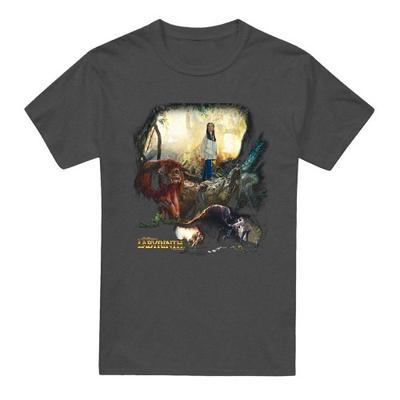 Labyrinth Unisex Adult Sarah & Ludo Heather T-Shirt