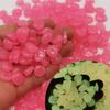 600Pcs Resin Glow in The Dark Pebble Colorful Aquarium Decoration Stone  Landscape Decoration