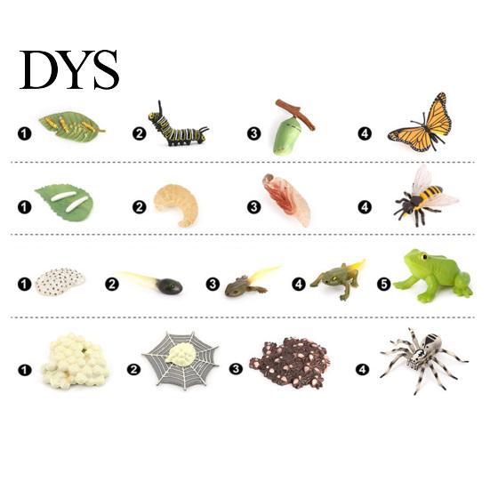 4Pcs/5Pcs Frog Tarantula Butterfly Bee Animal Growth Observation Model Toys