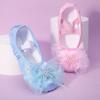 Girls' Princess Ballet Shoes - Soft Sole Dance Shoes for Chinese Dance & Body Training, Cat Paw Design (Style 8009)