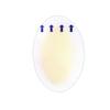 5Pcs Adhesive Hydrocolloid Gel Blister Plaster Heel Anti-Wearing Heel Sticker Pedicure Patch Plaster Foot Care Tools