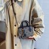 Light Luxury Handbag Printed Bag for Women 2026 New Versatile Handheld Single Shoulder Crossbody Bag