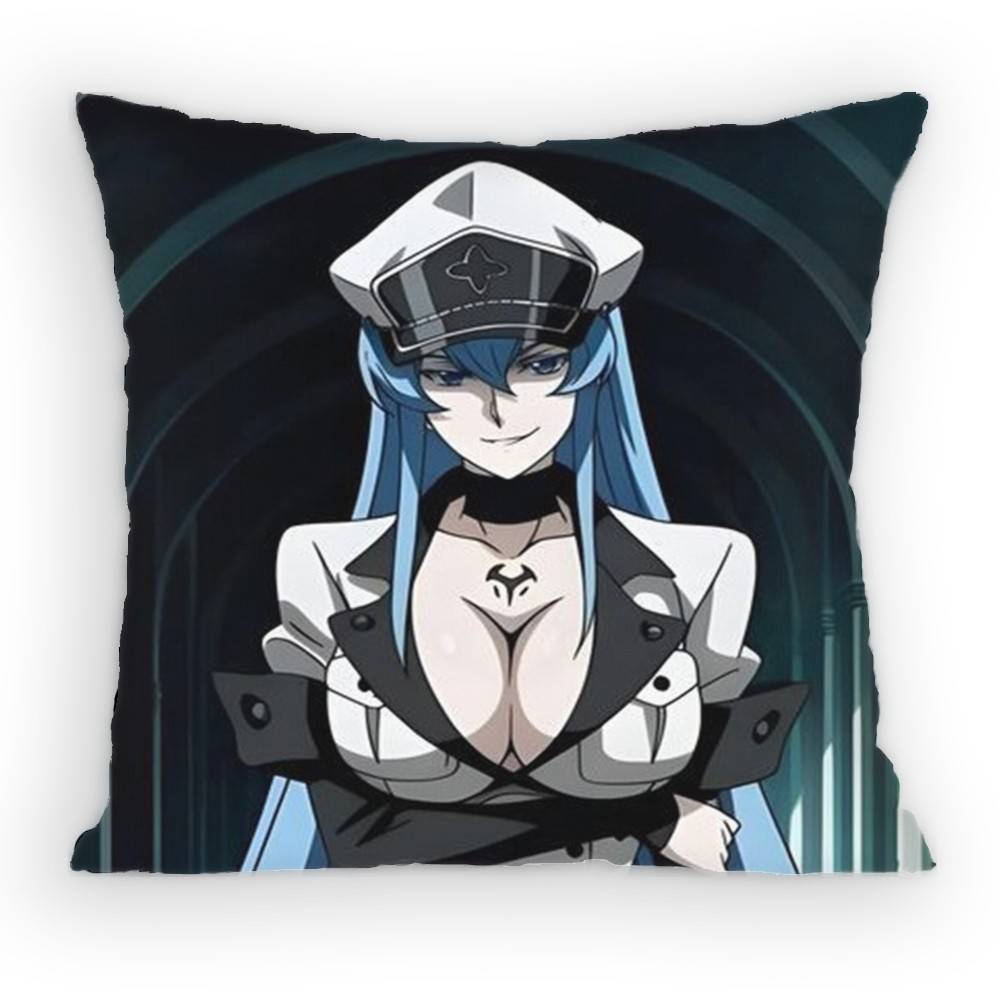 Akame ga KILL! Esdeath Pillow Case Anti-dustmite Pillowcase Invisible zipper silky short plush Sofa cushion cover