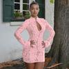 Lace Hollow Half-high Collar Long-sleeved Mini Dress