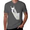 Funny Llama Tshirt Lightweight Gym Training Tshirt