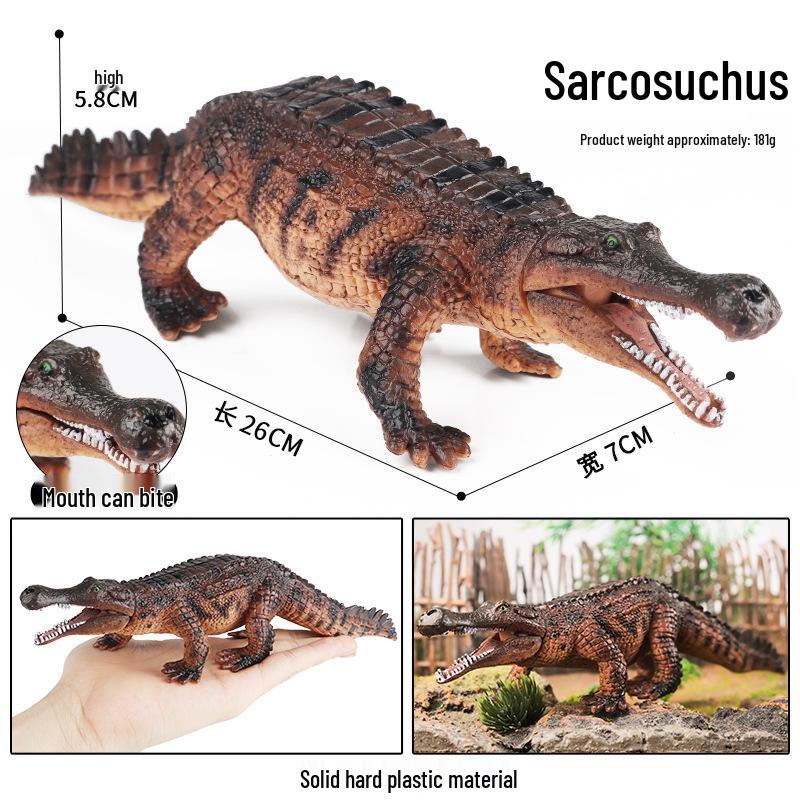 Children's Cognitive Marine Animal Models: Sea Turtle and Tortoise Toys