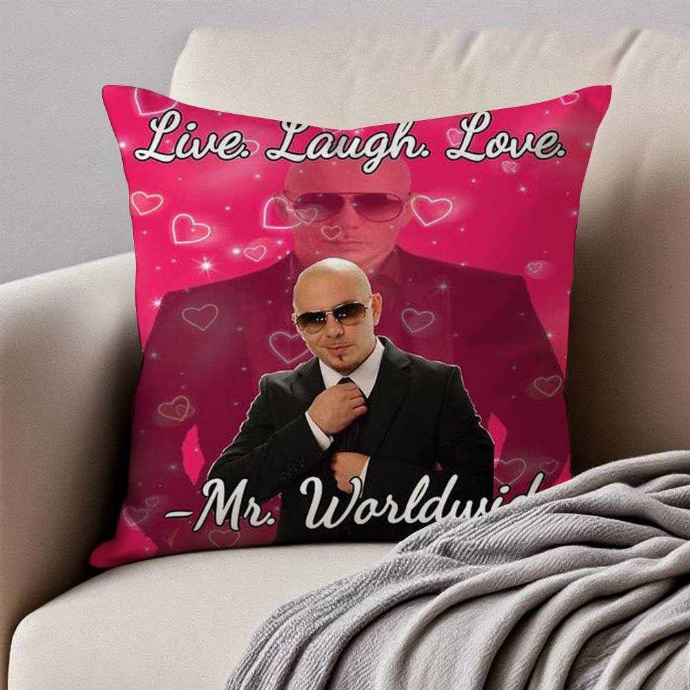 

Mr Worldwide PPitbull Pillow Case Antidustmite Invisible zipper Sofa Bed 30x30cm