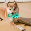 Cani – Giocattoli per cani
