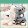 Adoráveis Brinquedos de Pelúcia de Urso Coala Apresentando Bonecas de Pelúcia de Mãe e Bebê Sentados