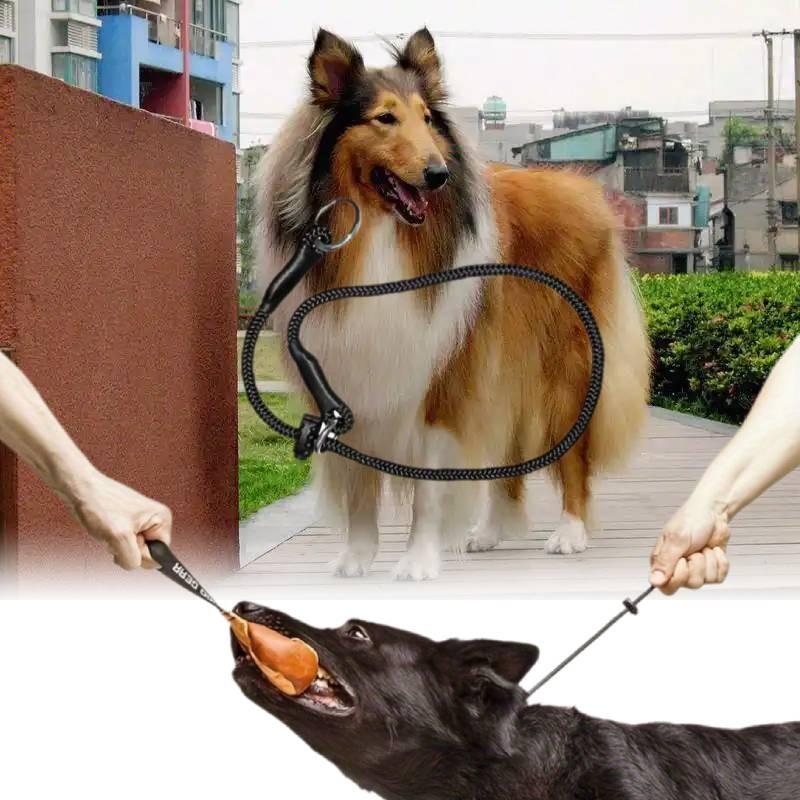 Durable And Comfortable Pet Training Choke Rope For Large Dogs Black Nylon Design