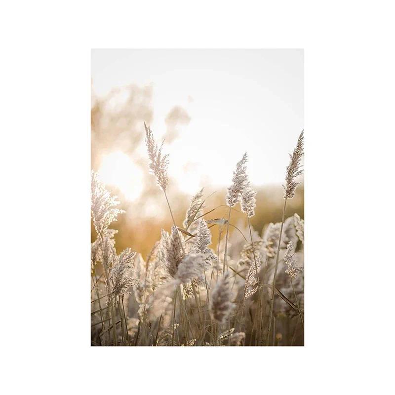

Wall Art Mural Prints Minimalist Ocean Pampas Grass Canvas Posters for Living Room Bedroom Bathroom Decor Nordic Poster 21x30cm
