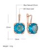 Shiny Blue Natural Zircon Dangle Earrings For Women Fashion  Rose Gold Color High Quality Daily Fine Jewelry