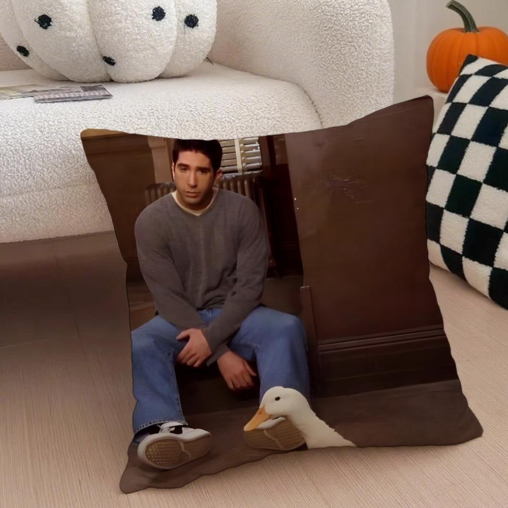 RRoss Geller Cushion Cover Linen Pillow Case Soft Breathable Protective Couch Room Decoration