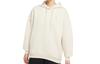Nike Sweatshirts Women's Oat Hooded Moderate Regular DH4091-138