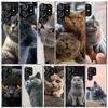 Britisch Kurzhaar Katze Handyhülle Für Samsung Galaxy S24 S25 Edge S26 Ultra S22 S23 Plus S21 + S20 FE Weiche TPU Rückabdeckung Galaxy