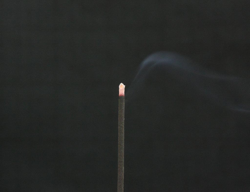 Yakusugi Natural Incense (Black) - Low Smoke Incense with Gold Leaf - From a World Heritage Island - Incense Sticks, Offerings, Gifts, World Heritage