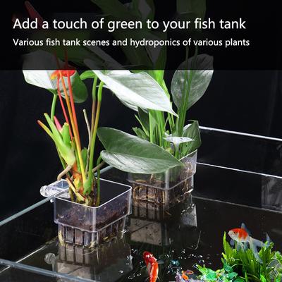2 Stück Wasserpflanzenbecher, ausgehöhlt, zur Wandmontage, reduziert Nitrat, emerse Pflanze, Hydrokultur-Pflanzbecher, Aquarium-Zubehör