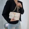 Fashionable Women's Crossbody Bag Trendy Korean Style Chic Small Square Handbag