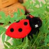 Simulation Insect Plush Toy Stuffed Beetle Bee Spider Butterfly Wild Animal Plushie Home Decoration Present