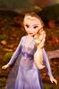 Disney Frozen 2 Forest Expedition Fashion Doll Playset with and Honey Melen Limited Edition Anna, Elsa, Ryder, -