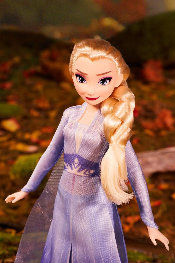 Disney Frozen 2 Forest Expedition Fashion Doll Playset with and Honey Melen Limited Edition Anna, Elsa, Ryder, -