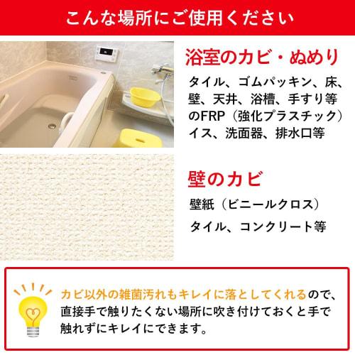 Souma PALCCOAT Mold Buster PRO 300ml, a Powerful, Highly Concentrated Foam Mold Remover for Professional Use (bathroom, Rubber Seals, Wallpaper)