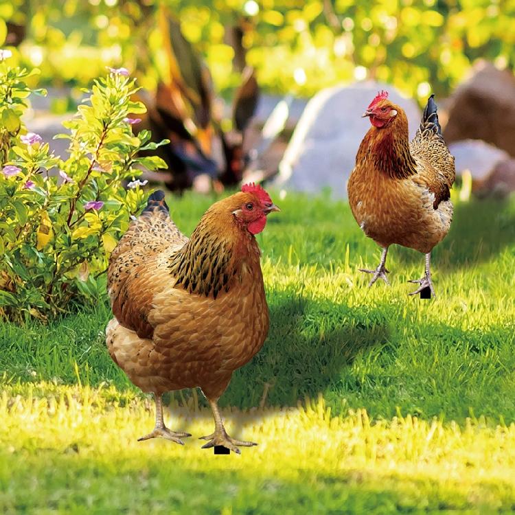 Chicken Garden Stakes Ornaments Garden Insert Yard Lawn Decoration Yard Signs
