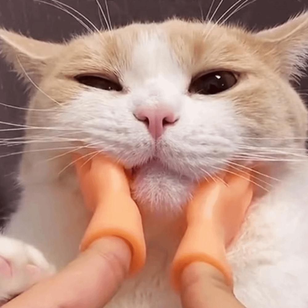 Novelty Feature Finger Cat Toy Mini Size Mini Finger Puppet Funny Funny Prank Gift Pet Supplies