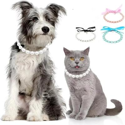 Katzen – Katzenhalsbänder & Leinen