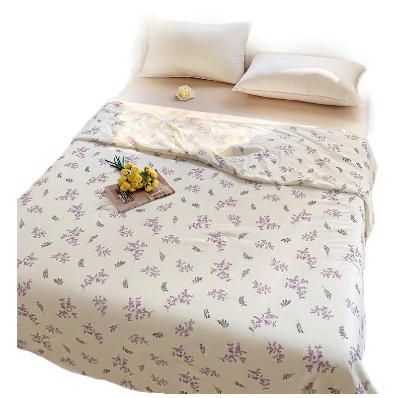 PLOVER Elegant Ice Silk Cooling Summer Comforter