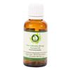 R V Essential FerulaAssa-foetida Pure Asafoetida (Heeng) Essential Oil 15ml