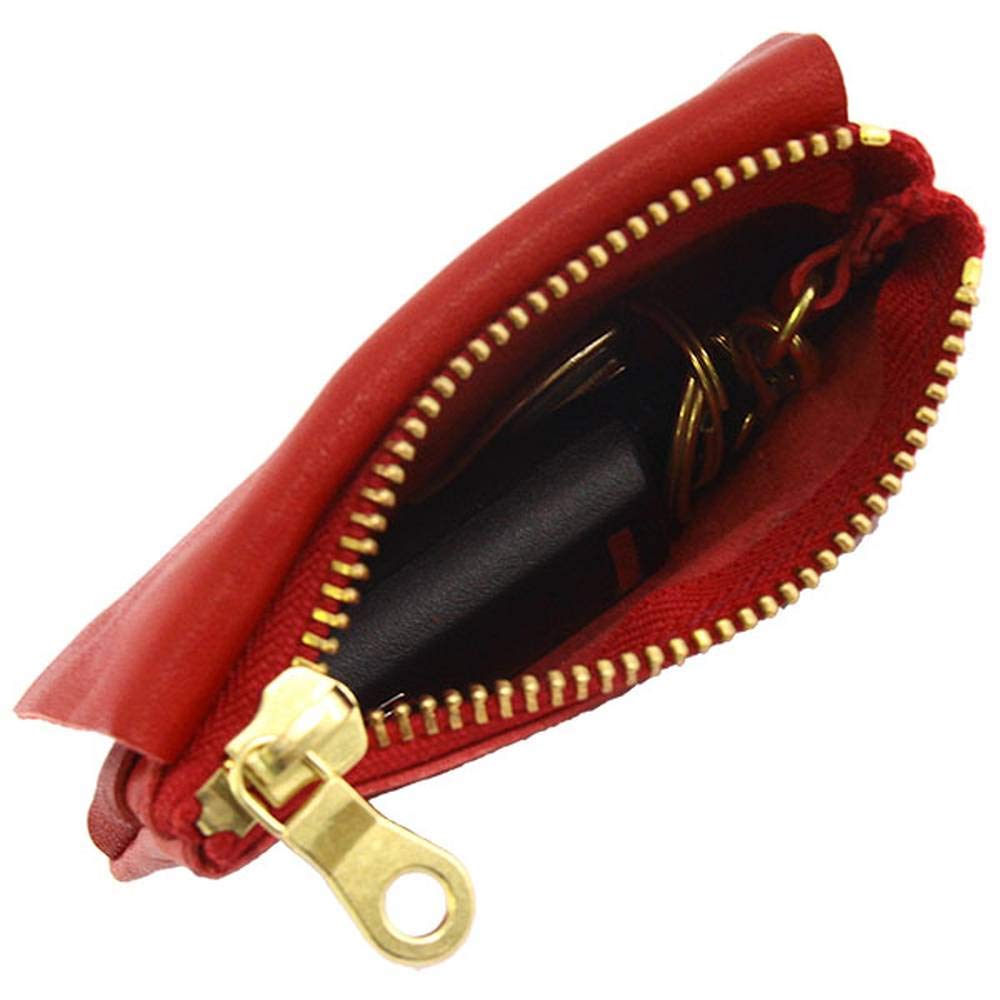 AGILITY affa "Petit" Coin Case/Key Case (5 Colors Available) Tochigi Shibori (Brown)