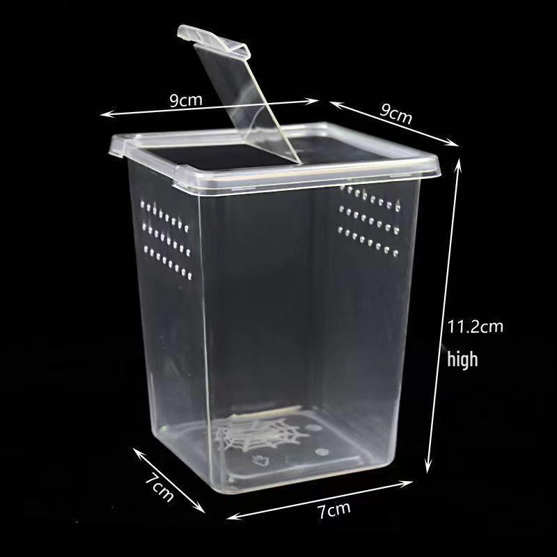 Amphibious Terrarium: For Reptile, Frog, Salamander, Snail, Silkworm, & Spider Rearing