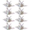 Plastic Conch Hair Clip Women's New Fashionable Resort Style Shark Clip Marine Hair Accessories