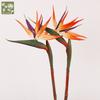 Fake flower home photography props ornament, wedding decoration simulation flamingo